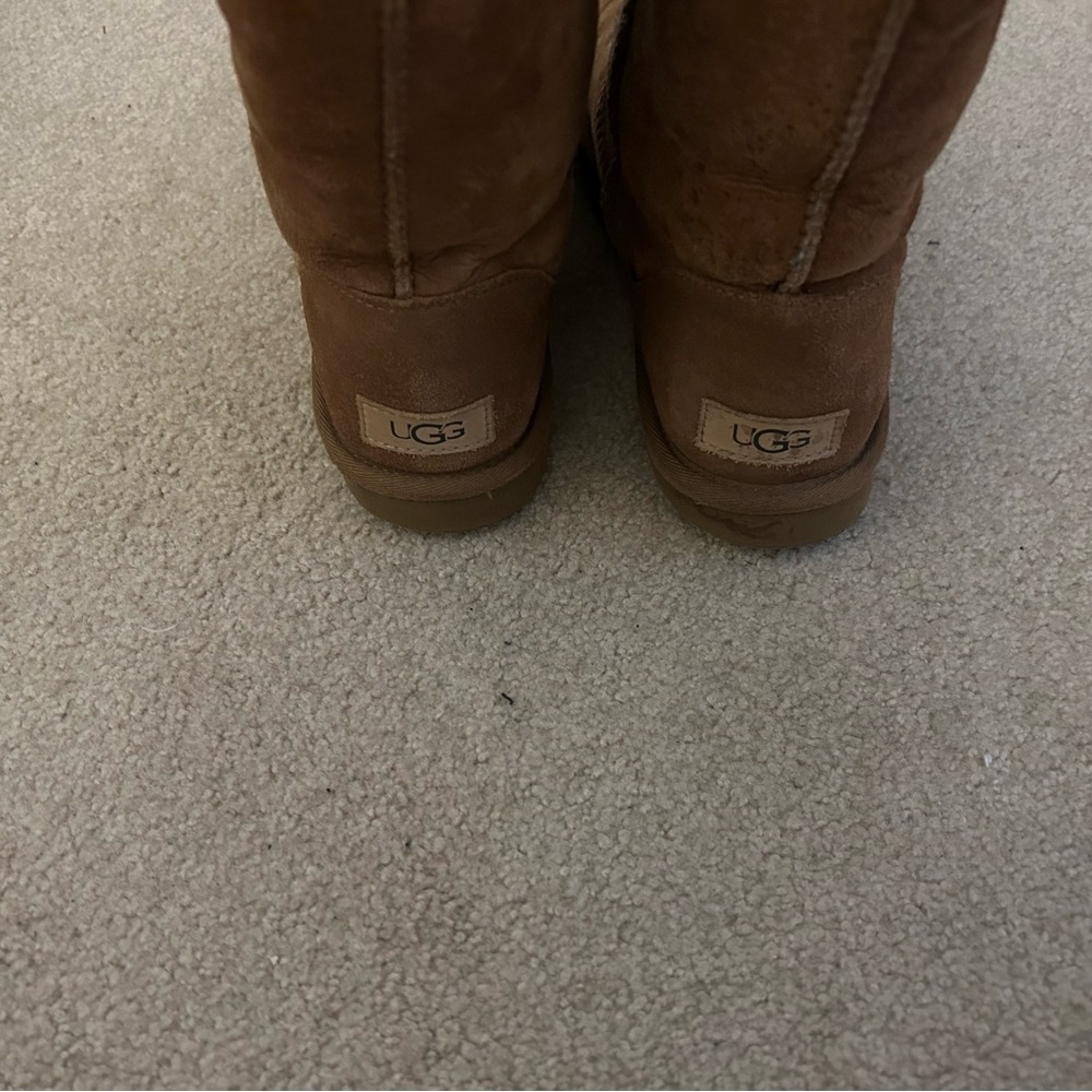 Ugg Classic chestnut short ll      Size US woman’s 8 - Picture 3 of 4